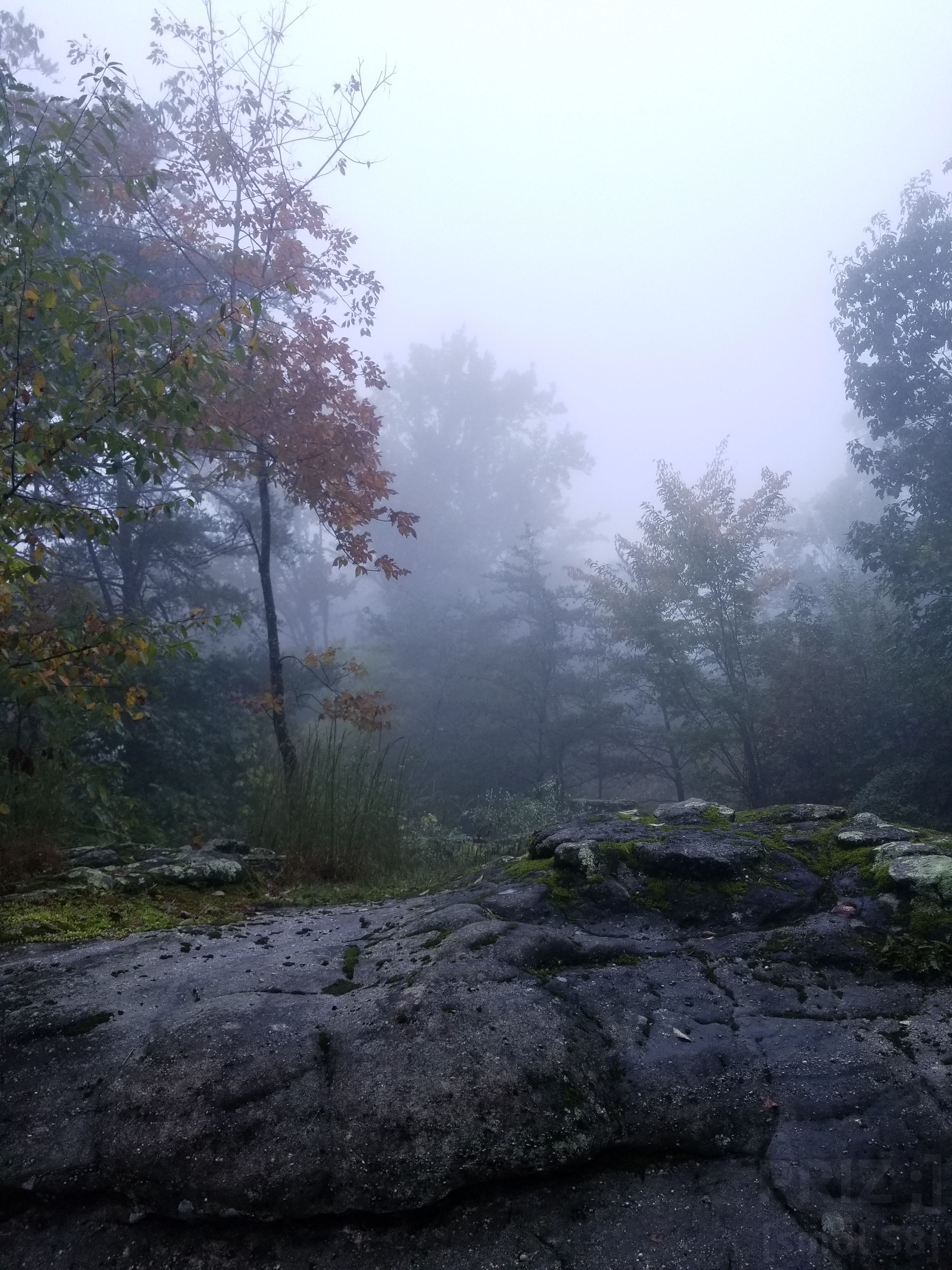 foggy.webp foggy.webp
